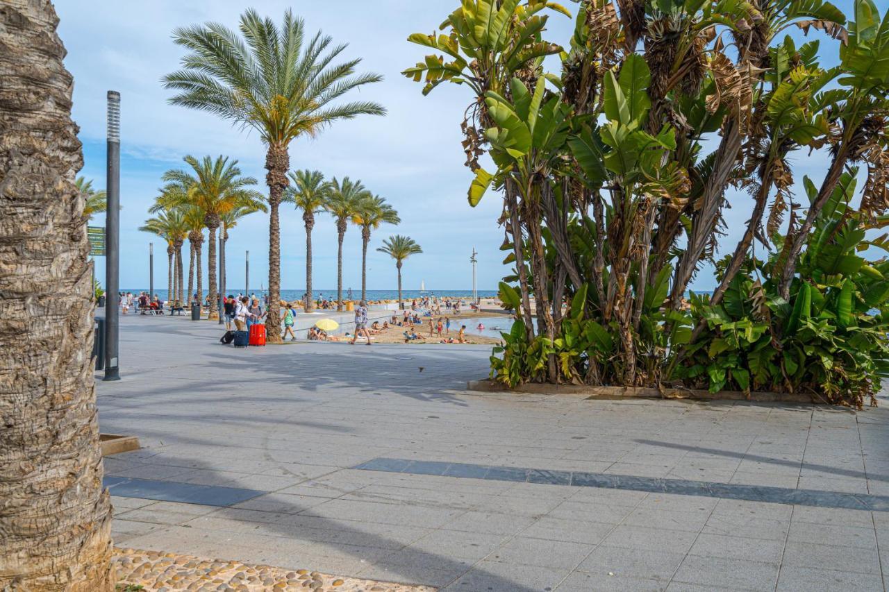 Casa Terra: Apartment 50 Meters From The Beach Torrevieja Kültér fotó